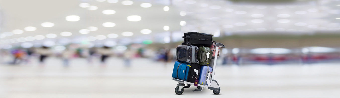 Baggage allowed cheap in domestic flights